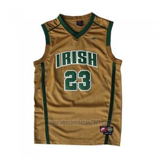 Camiseta St. Vincent-St. Mary LeBron James #23 Oro