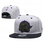 Gorra Toronto Raptors 9FIFTY Snapback Gris