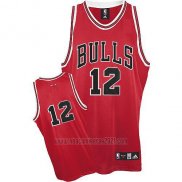 Camiseta Chicago Bulls Kirk Hinrich #12 Retro Rojo2