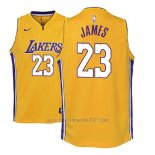 Camiseta Nino Los Angeles Lakers Lebron James #23 Icon 2017-18 Amarillo