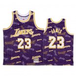 Camiseta Los Angeles Lakers Lebron James #23 Hardwood Classics Tear Up Pack Violeta