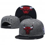 Gorra Chicago Bulls Rojo Gris2